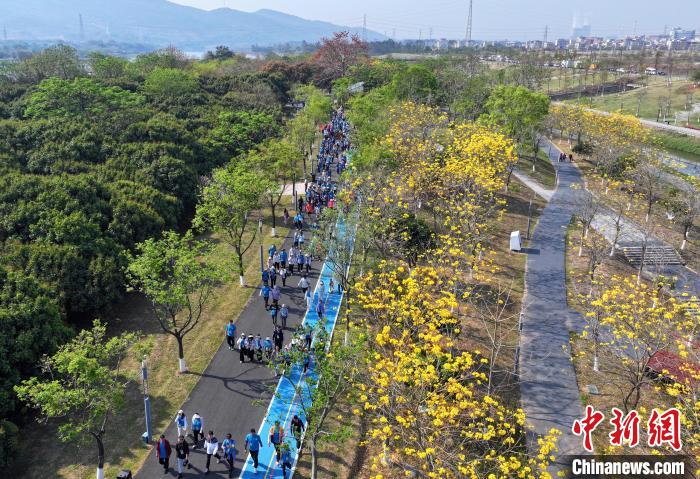 2025河源20公里城市亲水徒步活动自然与城市交融